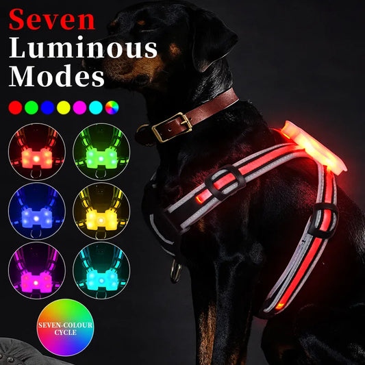 Premium LED Dog Harness